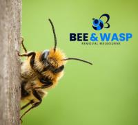 Wasp Removal Melbourne image 2